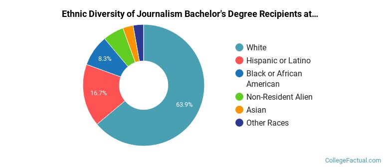 Ethnic diversity of Journalism majors at Hofstra University