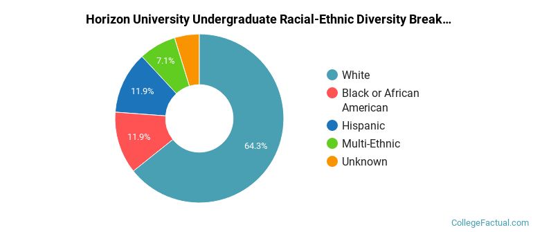 Horizon University Racial-Ethnic Diversity Pie Chart