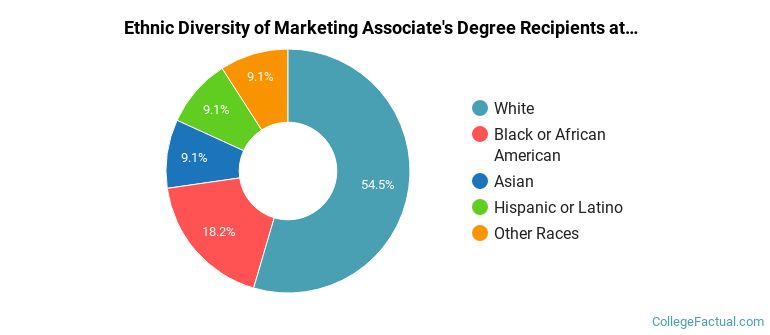 Ethnic diversity of Marketing majors at Hudson Valley Community College