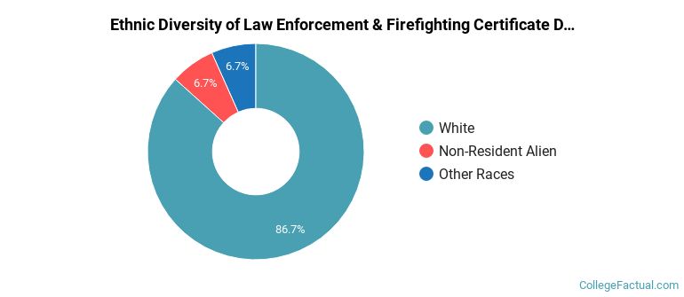 Ethnic diversity of Law Enforcement & Firefighting majors at Husson University