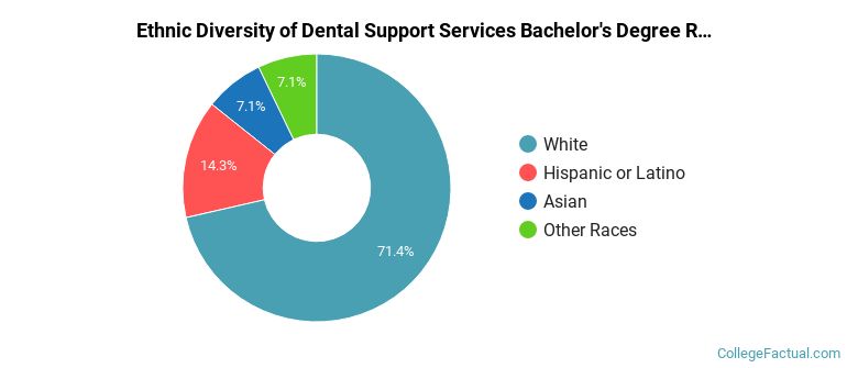 Ethnic diversity of Dental Support Services majors at Idaho State University