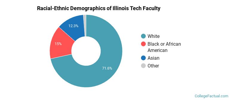 Racial-Ethnic Demographics of Illinois Tech Faculty