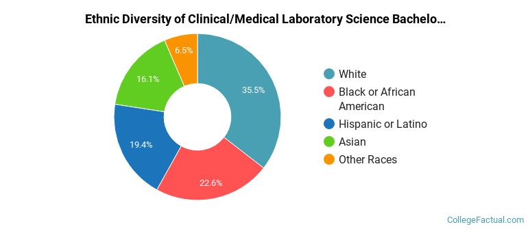 Ethnic diversity of Clinical/Medical Laboratory Science majors at Illinois State University