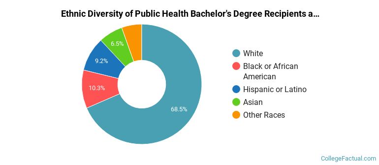 Ethnic diversity of Public Health majors at Indiana University-Bloomington