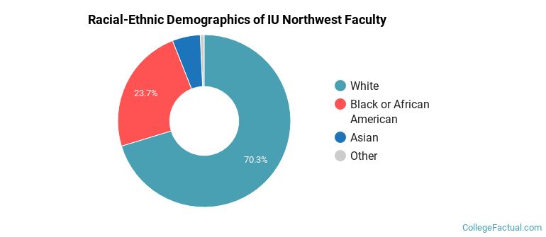 Racial-Ethnic Demographics of IU Northwest Faculty