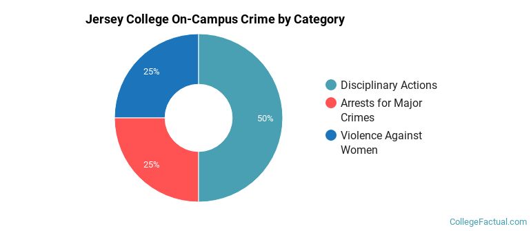 Jersey College On-Campus Crime by Category