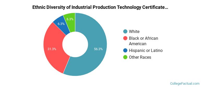 Ethnic diversity of Industrial Production Technology majors at Brightpoint Community College