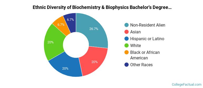 Ethnic diversity of Biochemistry & Biophysics majors at Johns Hopkins University
