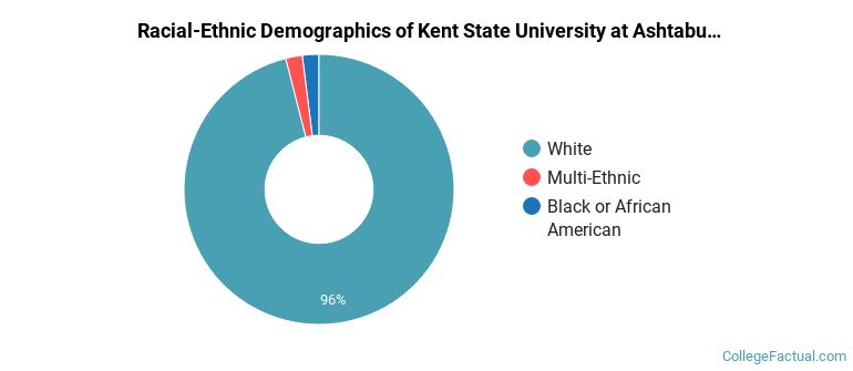 Racial-Ethnic Demographics of Kent State University at Ashtabula Faculty