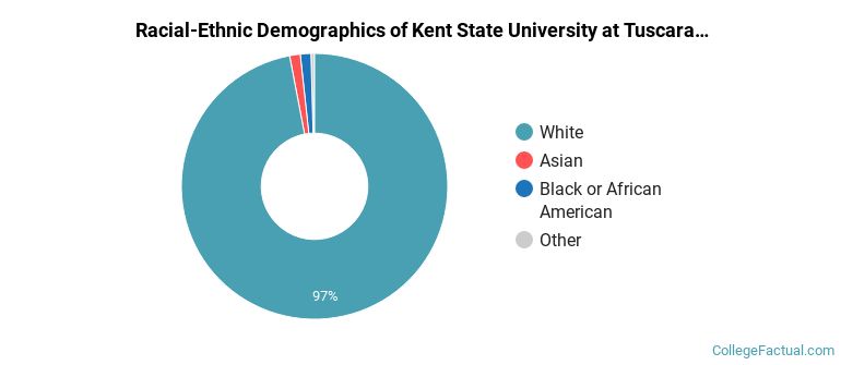 Racial-Ethnic Demographics of Kent State University at Tuscarawas Faculty
