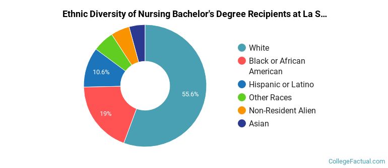 Ethnic diversity of Nursing majors at La Salle University