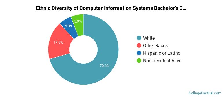 Ethnic diversity of Computer Information Systems majors at Lewis-Clark State College