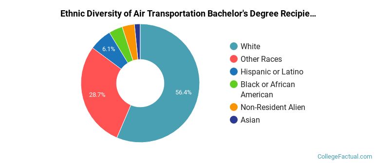 Ethnic diversity of Air Transportation majors at Liberty University