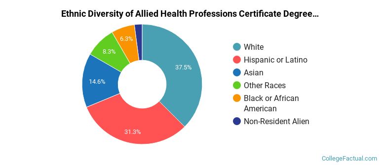 Ethnic diversity of Allied Health Professions majors at Lone Star College System