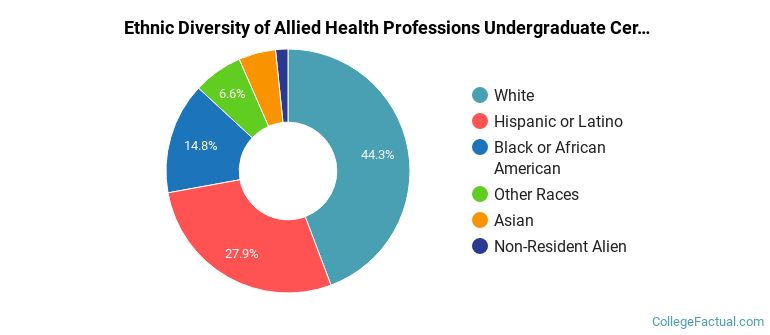 Ethnic diversity of Allied Health Professions majors at Lone Star College System