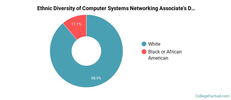 Ethnic diversity of Computer Systems Networking majors at Lorain County Community College