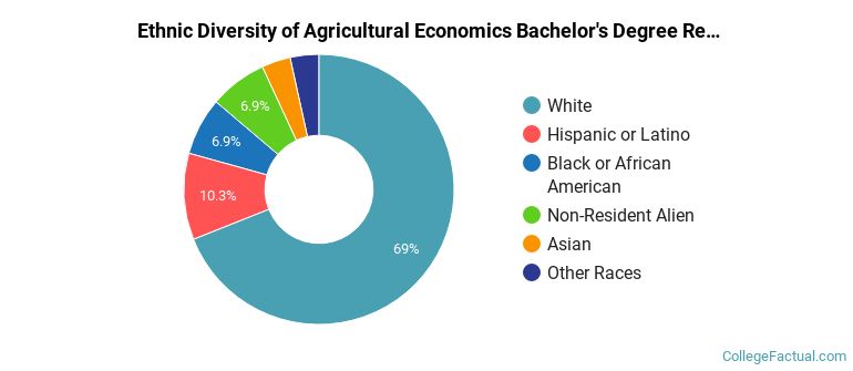 Ethnic diversity of Agricultural Economics majors at Louisiana State University and Agricultural & Mechanical College
