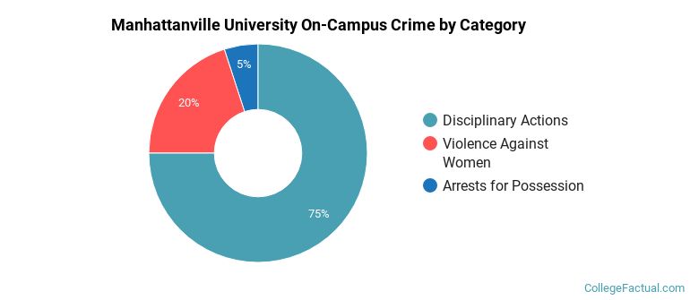 Manhattanville University On-Campus Crime by Category