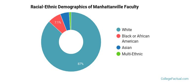 Racial-Ethnic Demographics of Manhattanville Faculty