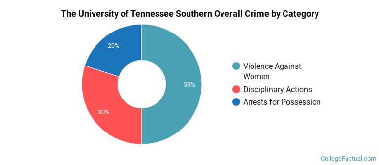 The University of Tennessee Southern Overall Crime by Category