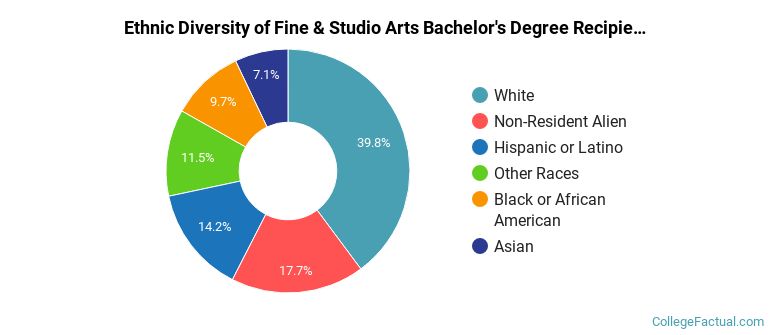 Ethnic diversity of Fine & Studio Arts majors at Maryland Institute College of Art