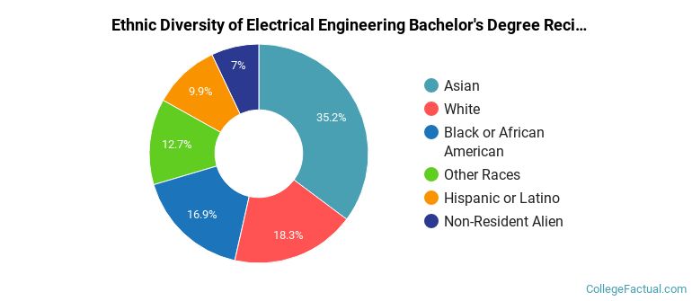 Ethnic diversity of Electrical Engineering majors at Massachusetts Institute of Technology