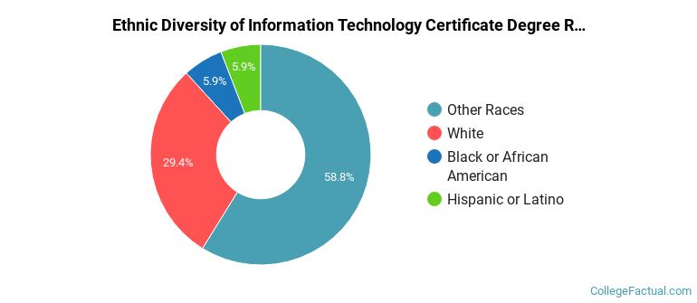 Ethnic diversity of Information Technology majors at McLennan Community College