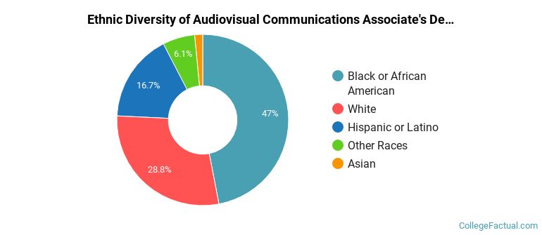 Ethnic diversity of Audiovisual Communications majors at MediaTech Institute-Dallas