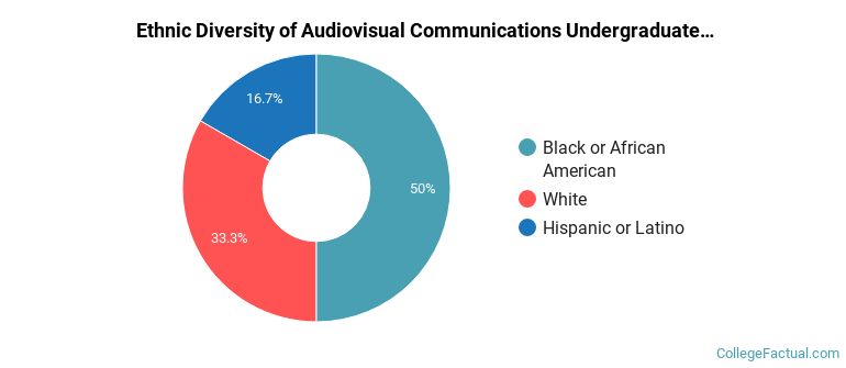 Ethnic diversity of Audiovisual Communications majors at MediaTech Institute-Dallas