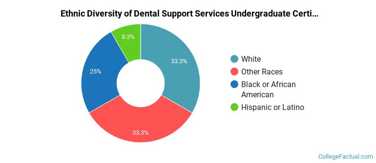 Ethnic diversity of Dental Support Services majors at Meridian Community College