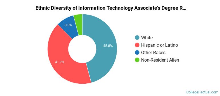 Ethnic diversity of Information Technology majors at Mesa Community College