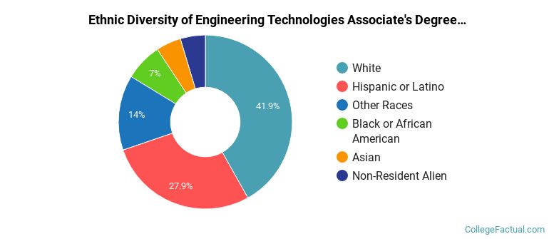 Ethnic diversity of Engineering Technologies majors at Mesa Community College