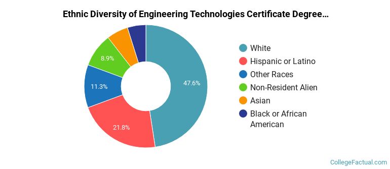 Ethnic diversity of Engineering Technologies majors at Mesa Community College