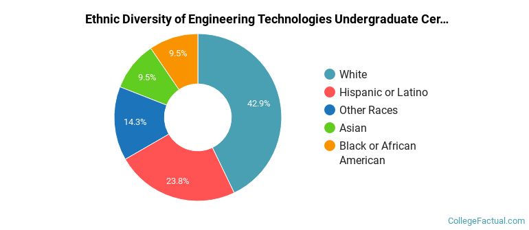 Ethnic diversity of Engineering Technologies majors at Mesa Community College