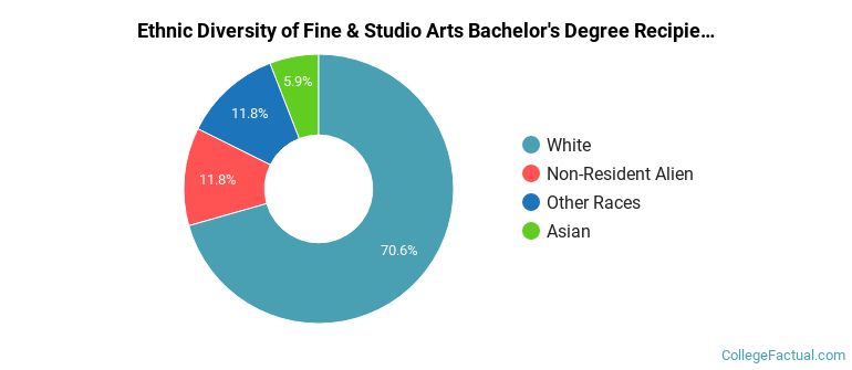Ethnic diversity of Fine & Studio Arts majors at Miami University-Oxford