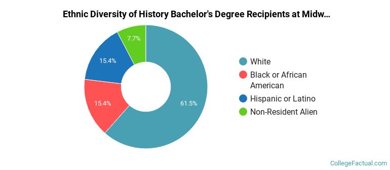 Ethnic diversity of History majors at Midwestern State University