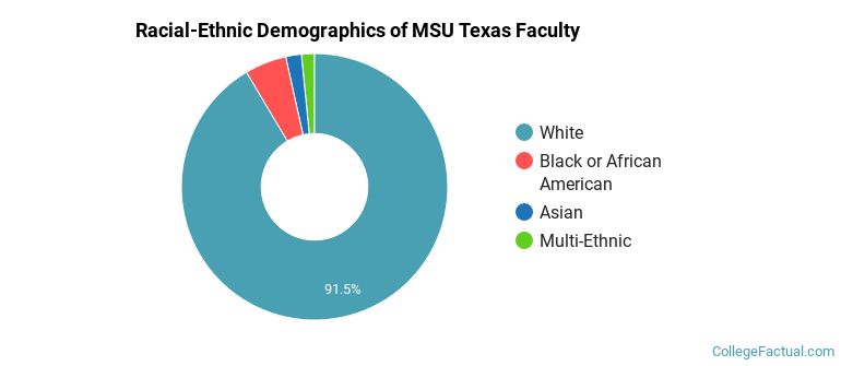 Racial-Ethnic Demographics of MSU Texas Faculty