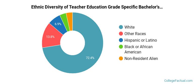 Ethnic diversity of Teacher Education Grade Specific majors at Minot State University