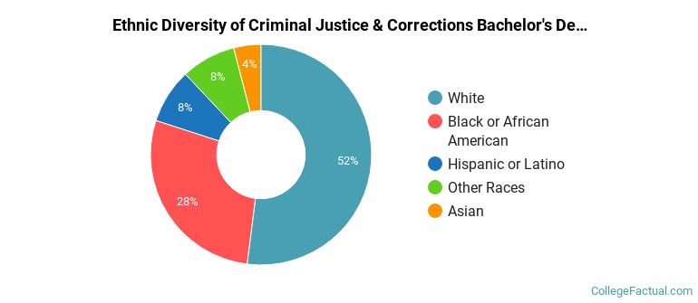 Ethnic diversity of Criminal Justice & Corrections majors at Mississippi College