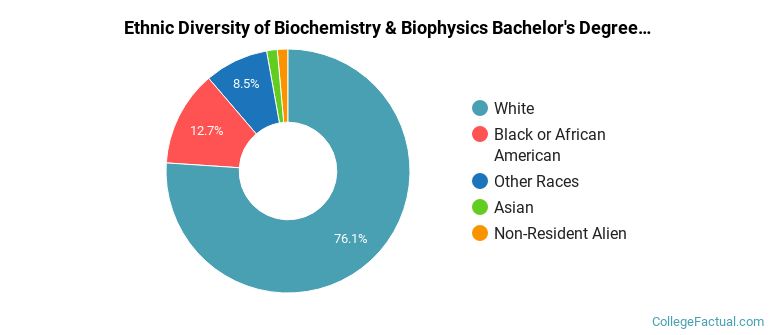 Ethnic diversity of Biochemistry & Biophysics majors at Mississippi State University