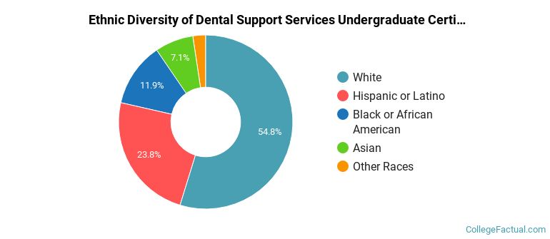 Ethnic diversity of Dental Support Services majors at Monroe Community College