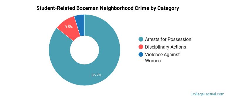 Student-Related Bozeman Neighborhood Crime by Category