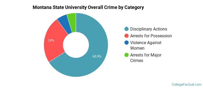 Montana State University Overall Crime by Category