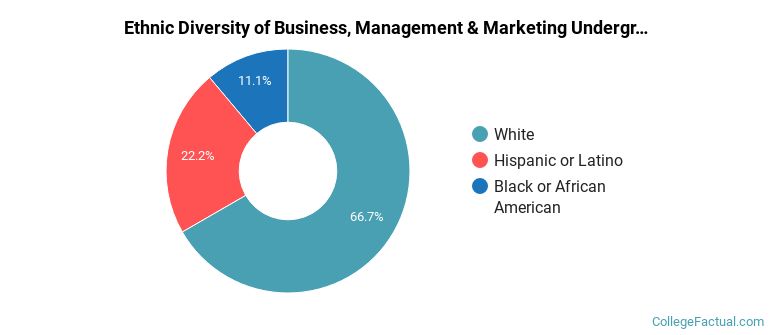 Ethnic diversity of Business, Management & Marketing majors at Moraine Valley Community College