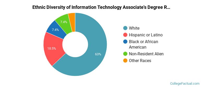 Ethnic diversity of Information Technology majors at Moraine Valley Community College