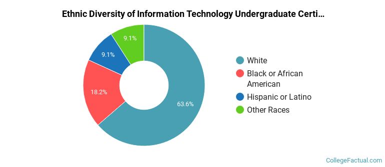 Ethnic diversity of Information Technology majors at Moraine Valley Community College