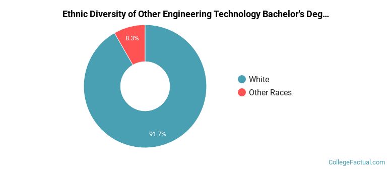 Ethnic diversity of Other Engineering Technology majors at Morehead State University