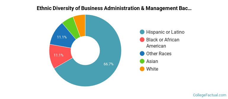 Ethnic diversity of Business Administration & Management majors at Mount Saint Mary's University