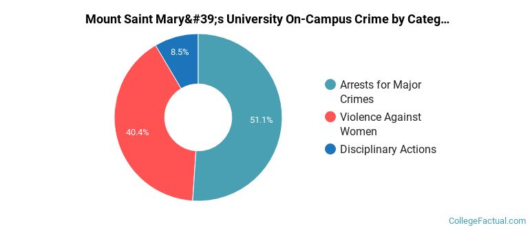 Mount Saint Mary's University On-Campus Crime by Category