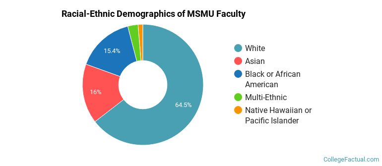 Racial-Ethnic Demographics of MSMU Faculty